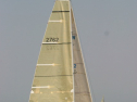 IMG_9431.jpg