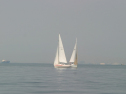 IMG_9433.jpg