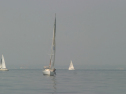 IMG_9435.jpg