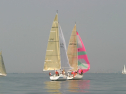 IMG_9438.jpg