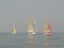 IMG_9439.jpg