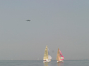 IMG_9442.jpg