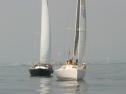 IMG_9445.jpg