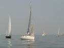 IMG_9446.jpg