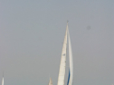 IMG_9450.jpg