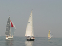 IMG_9455.jpg