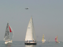 IMG_9456.jpg