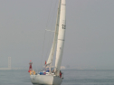 IMG_9458.jpg