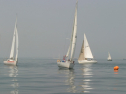 IMG_9459.jpg