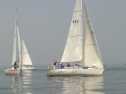 IMG_9461.jpg