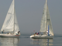 IMG_9462.jpg