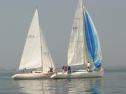IMG_9463.jpg
