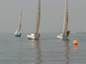 IMG_9464.jpg