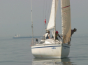 IMG_9474.jpg