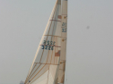 IMG_9479.jpg