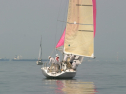 IMG_9484.jpg