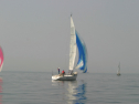 IMG_9485.jpg