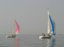 IMG_9486.jpg