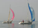IMG_9490.jpg