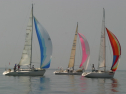 IMG_9491.jpg