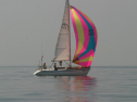 IMG_9492.jpg