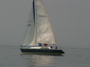 IMG_9493.jpg