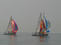 IMG_9494.jpg