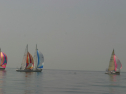 IMG_9495.jpg