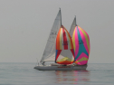 IMG_9496.jpg