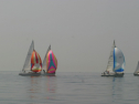 IMG_9497.jpg