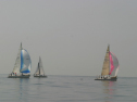 IMG_9498.jpg