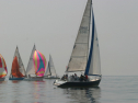 IMG_9499.jpg