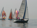 IMG_9500.jpg