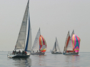 IMG_9501.jpg