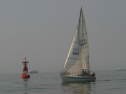 IMG_9502.jpg