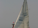 IMG_9503.jpg