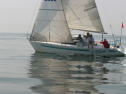 IMG_9505.jpg