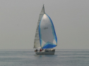 IMG_9507.jpg
