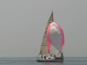 IMG_9508.jpg