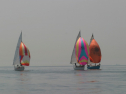 IMG_9510.jpg