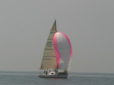 IMG_9511.jpg