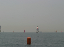 IMG_9513.jpg