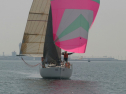 IMG_9514.jpg