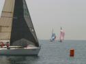 IMG_9516.jpg