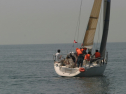 IMG_9517.jpg