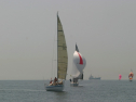 IMG_9518.jpg