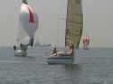 IMG_9519.jpg