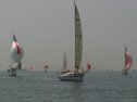IMG_9520.jpg