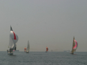 IMG_9521.jpg