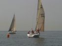 IMG_9522.jpg